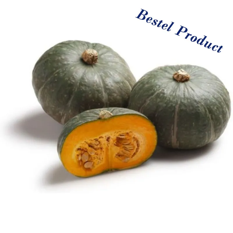 Zucca  / Pompoen