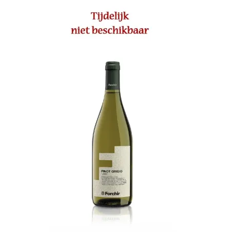 Pinot Grigio Lamis Doc "Forchir" 6 x 0,75lt