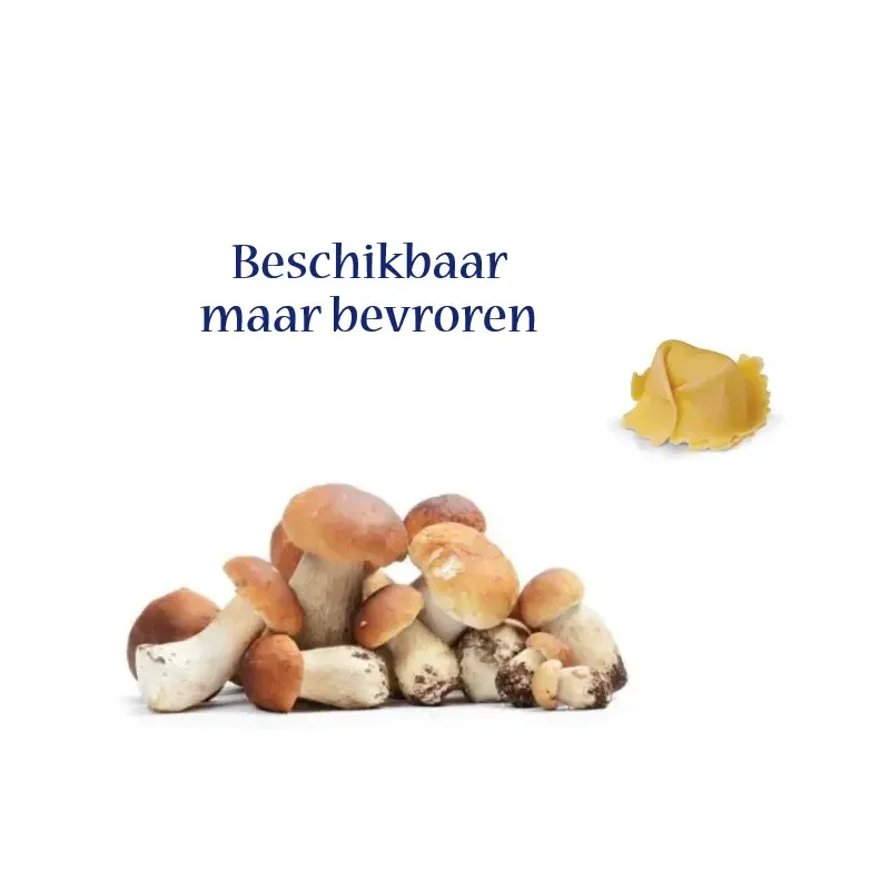 Tortello ai Funghi Porcini 1 kg