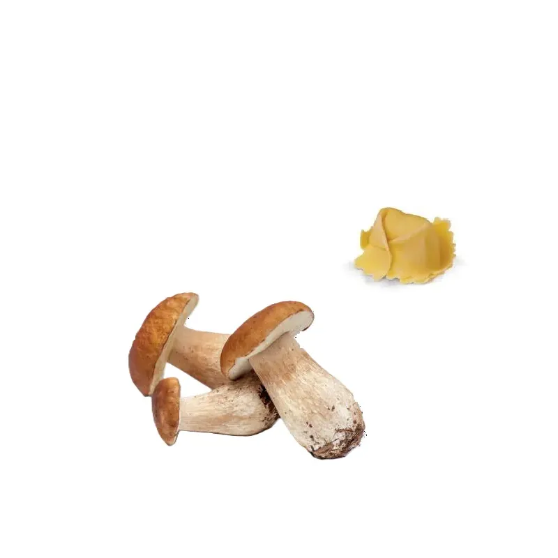 Tortello ai Funghi Porcini 1 kg