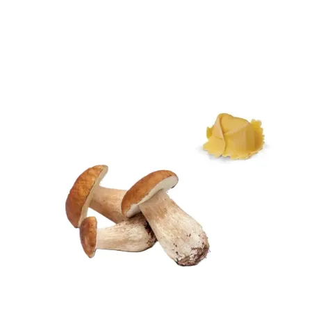 Tortello ai Funghi Porcini 1 kg