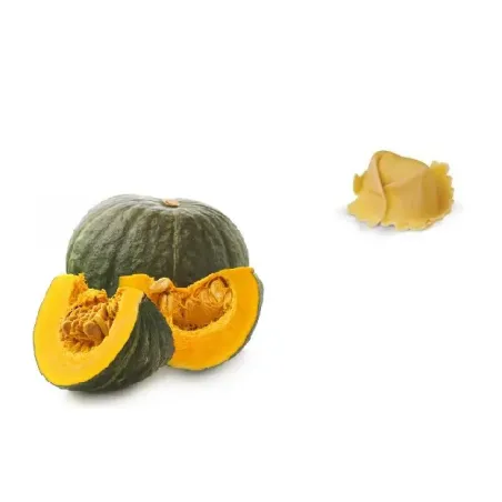 Tortello alla Zucca 1 Kg