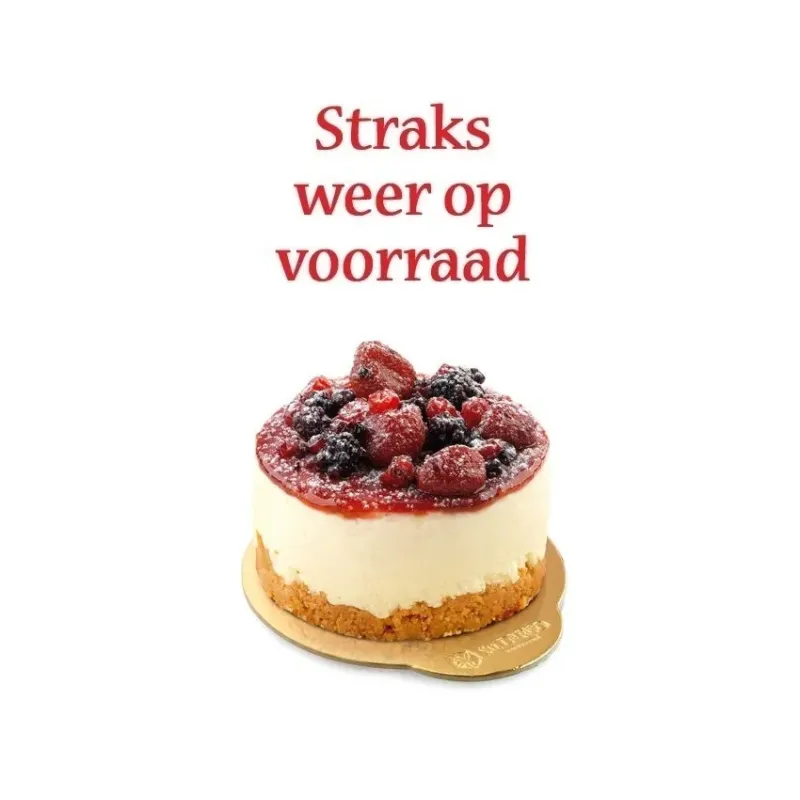 Mono Cheese Cake "Sal de Riso" 12 x 130gr