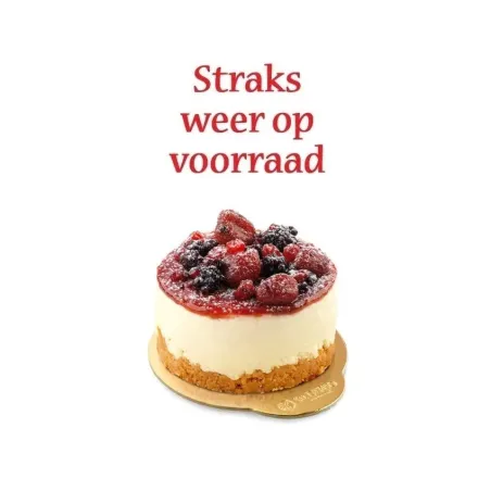 Mono Cheese Cake "Sal de Riso" 12 x 130gr