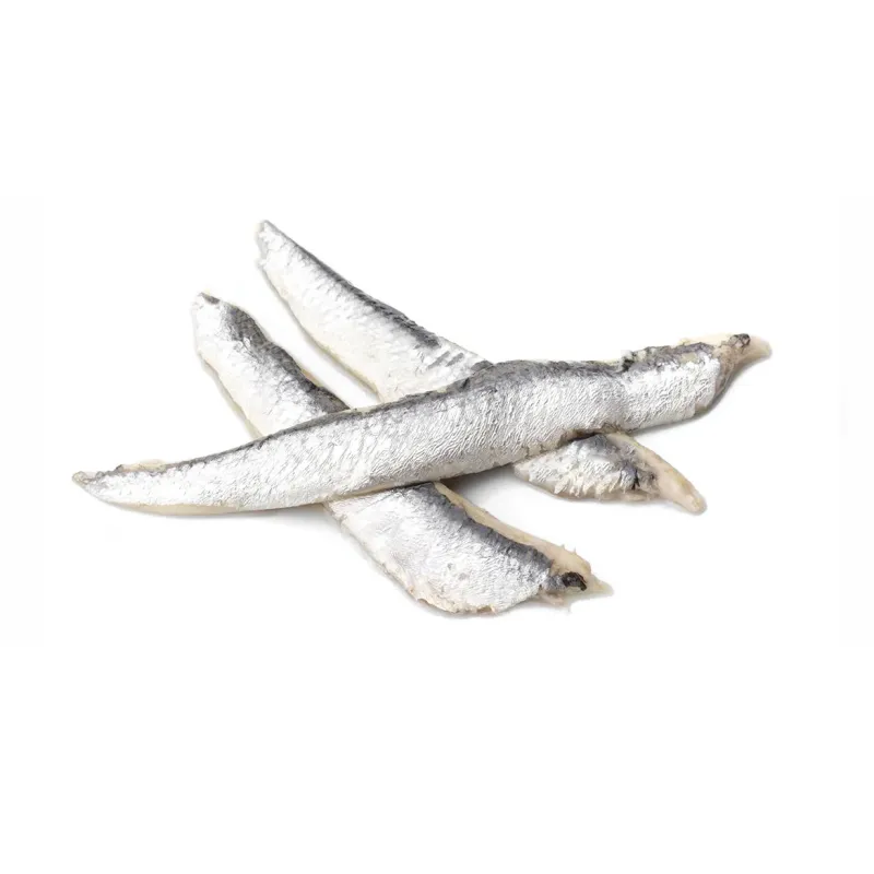 Ansjovis Cantarbico Fillets in Olie en Azijn 900gr Salanort