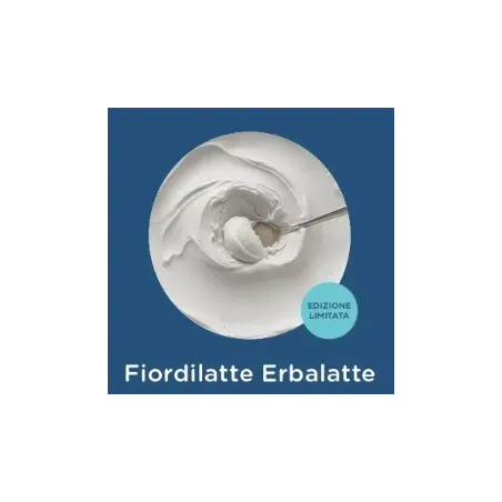 Preparato per Gelato Fiordilatte  12 x 1kg