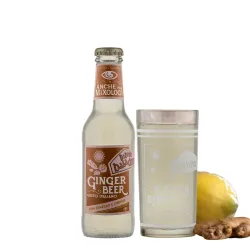 Ginger Beer ''Baladin''  240 x 20cl